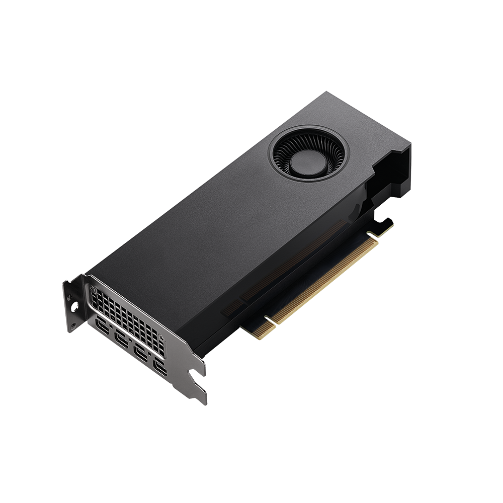 NVIDIA RTX A2000 - 12 GB